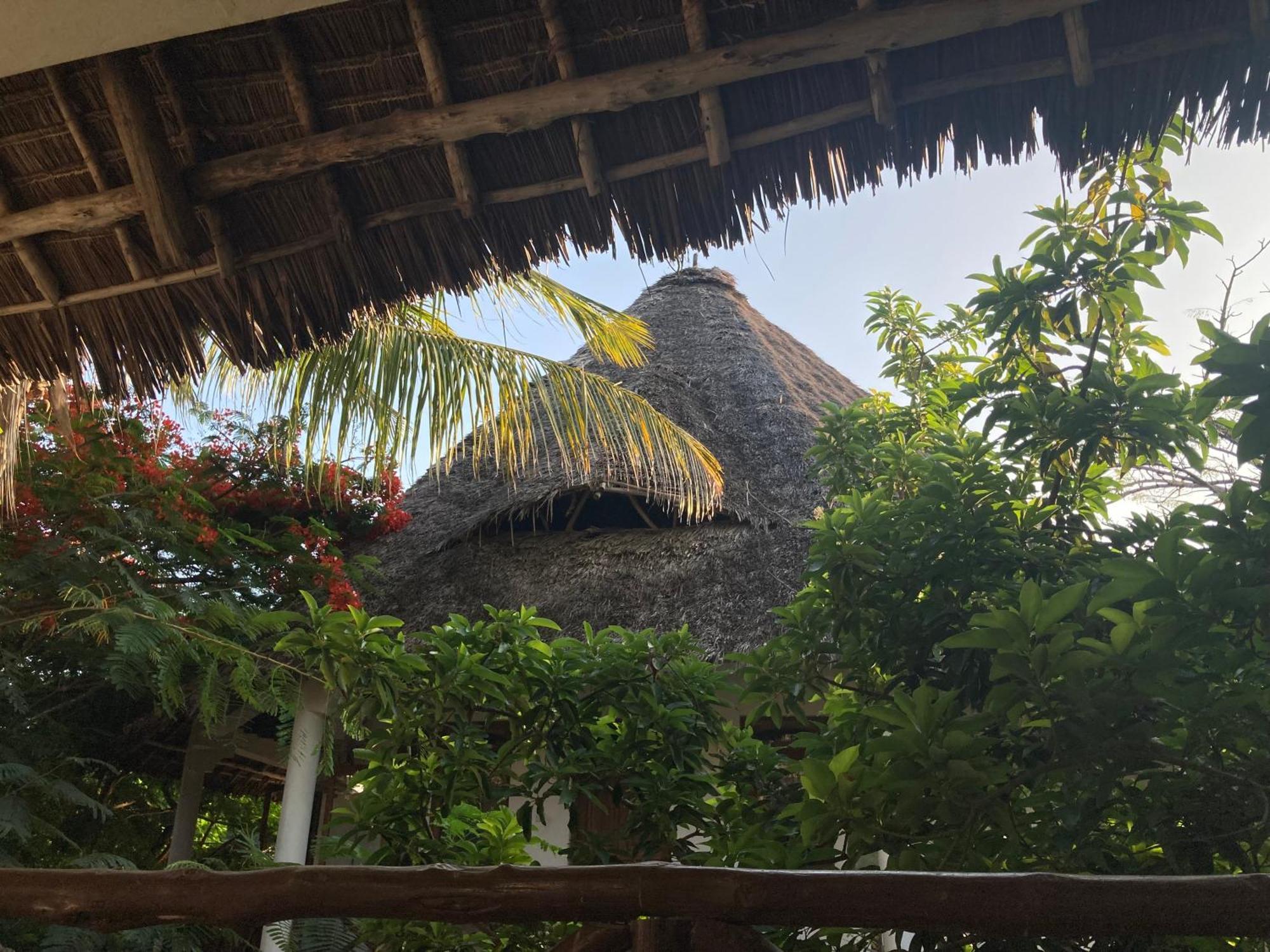 Pasa Lodge Zanzibar Нунгві Екстер'єр фото