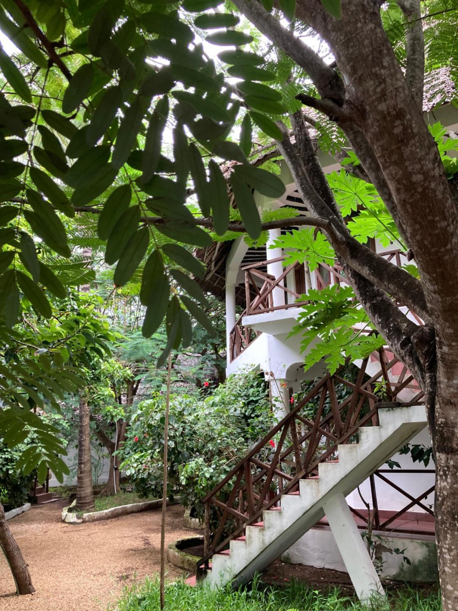 Pasa Lodge Zanzibar Нунгві Екстер'єр фото